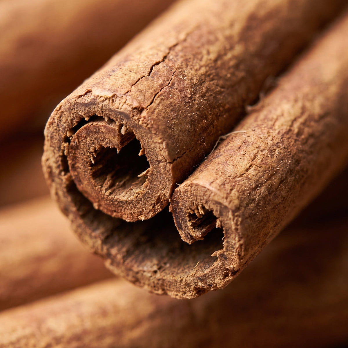 Cinnamon Oil